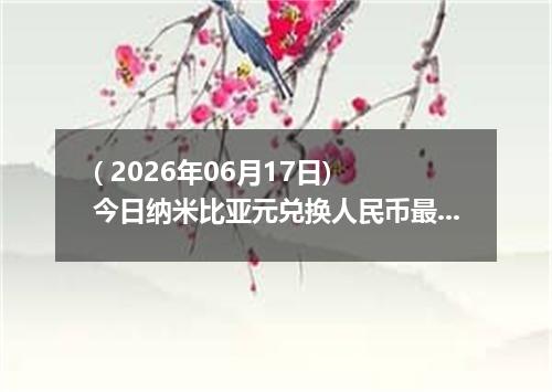 ( 2026年06月17日) 今日纳米比亚元兑换人民币最新汇率行情